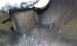 Ëböny mëlëŋ fïc bläc ...